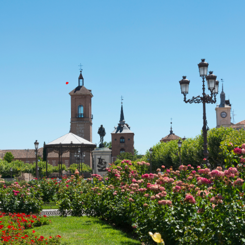 Programa del Tren de Cervantes
